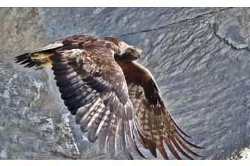 Mostra Fotografica ALBATROS di Battista Gai e Gian Paolo  Montisci