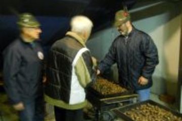 CASTAGNATA IN PIAZZA CON GLI ALPINI - SABATO 24/10
