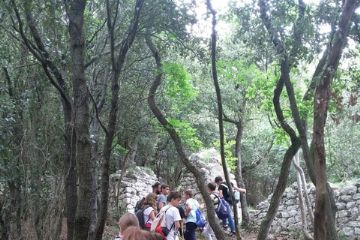 TREK CONNECTION 2019 con il Centro Giovani
