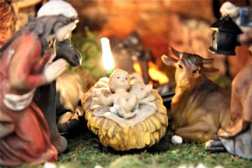 Concorso di Natale &quot;L&#39;alberello, il presepe che mi piace&quot;