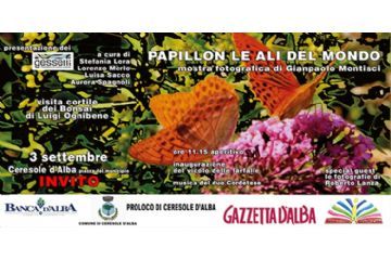 PRESENTAZIONE DEL VICOLO DELLE FARFALLE